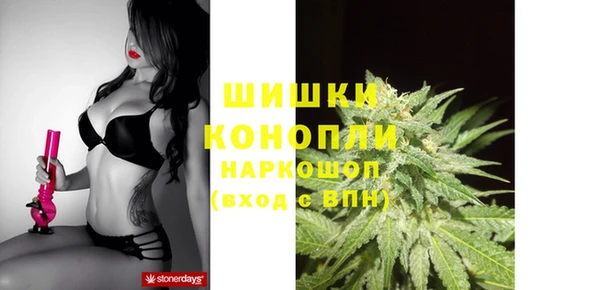 соль ск Гатчина