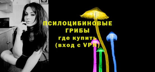 амф Нязепетровск