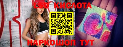 МДПВ Волгодонск