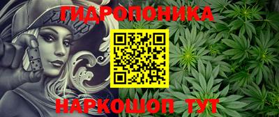 соль ск Волжск