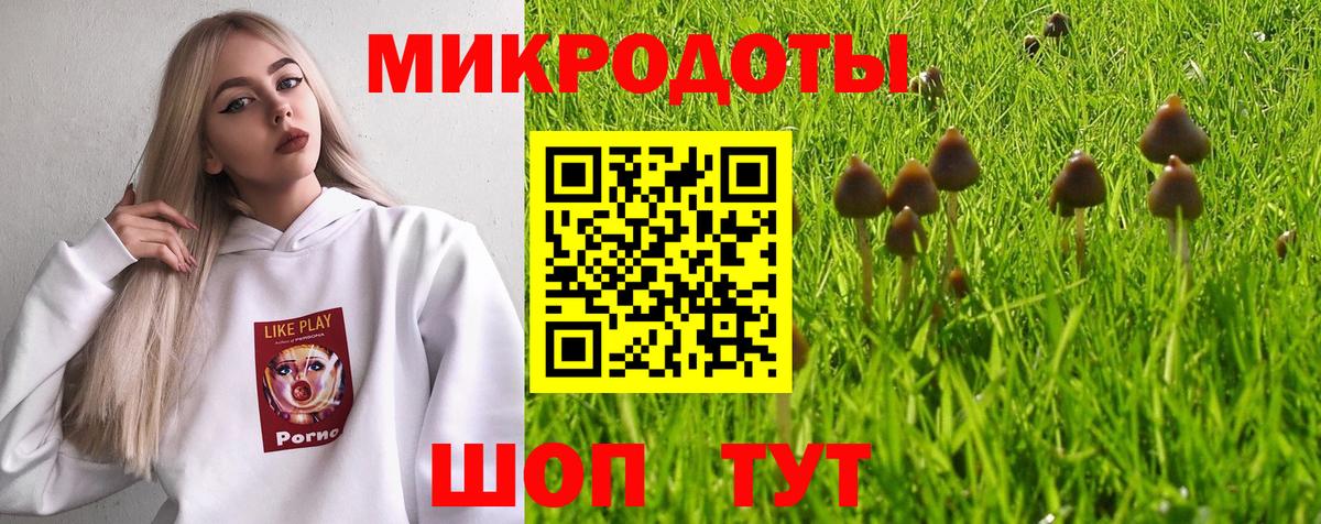 Галлюциногенные грибы Psilocybe  Вход с VPN  Дзержинск 