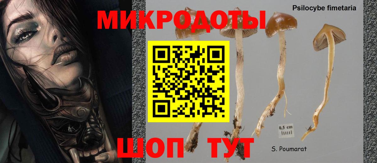 Псилоцибиновые грибы ЛСД  Дзержинск 